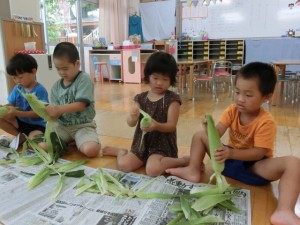 corn02