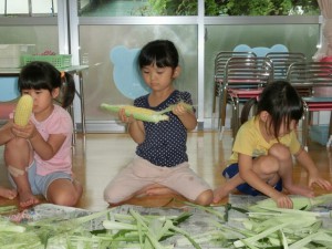 corn03