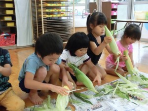 corn04