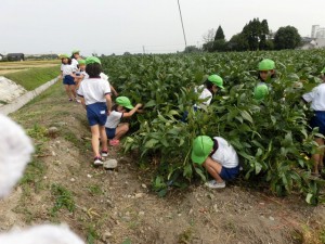 beans0916