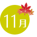 11月